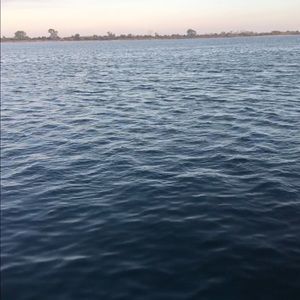 Meet your Posher, Kamya